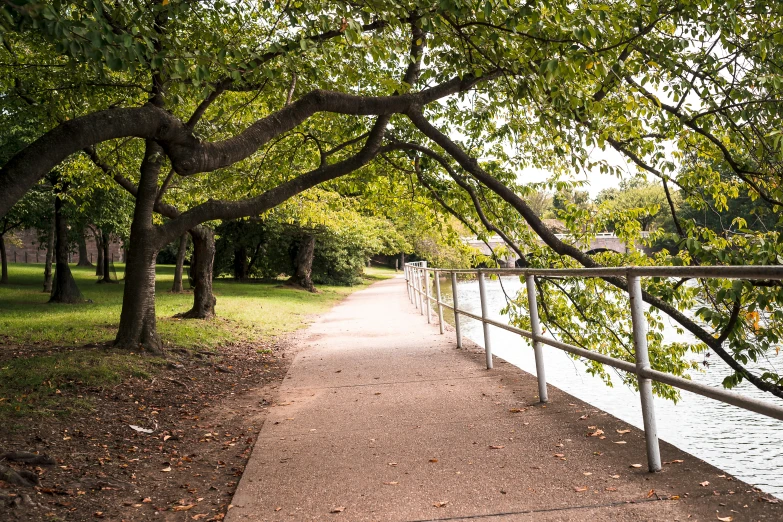 the pathway is next to a body of water