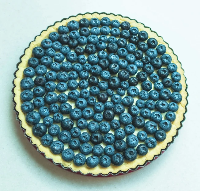 a blueberry pie on a round plate sits on a table