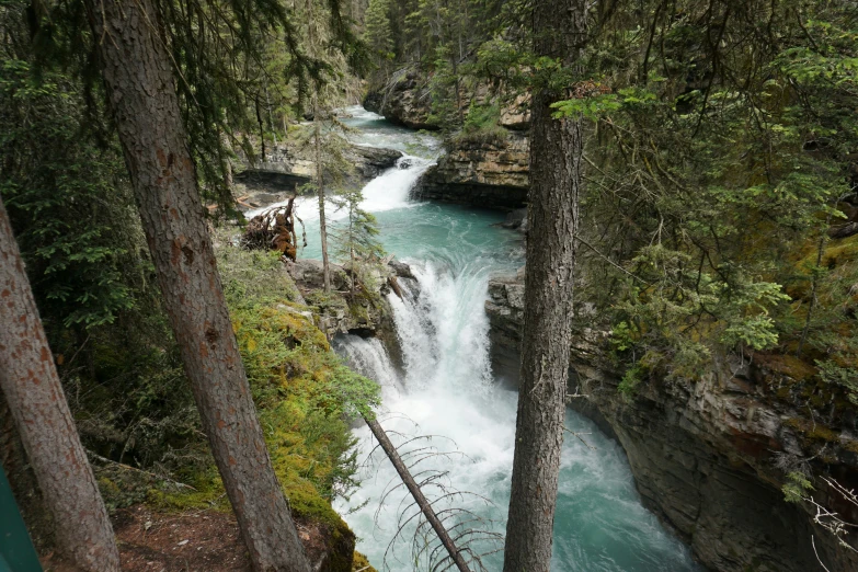 some green and brown trees water a river and some rocks