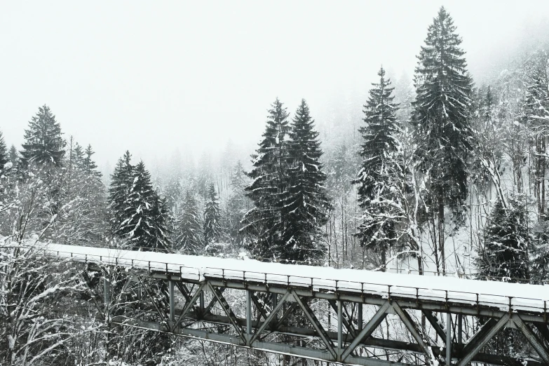 black and white po of snow covered bridge with evergreen trees