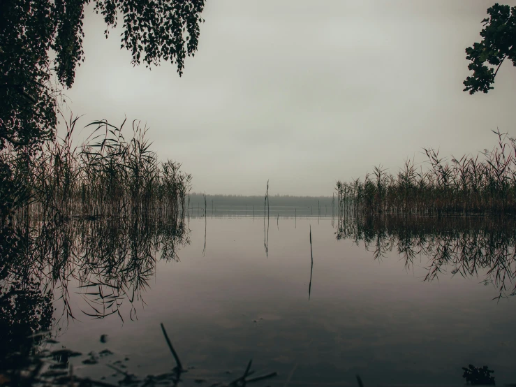 an image of the lake that is empty of people