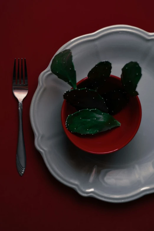 this plate has leaves in it and a fork on the side