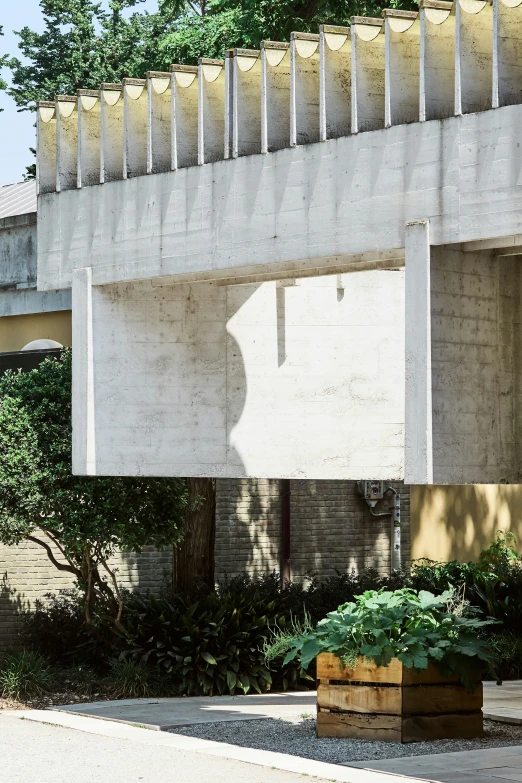 a bunch of cement plants next to some concrete structure