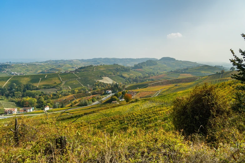 an area in the hills with a lot of grass and trees