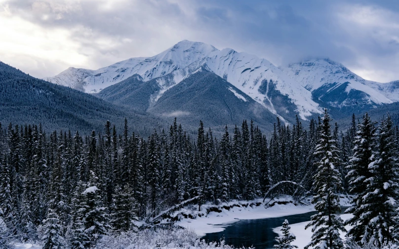 snow covered trees and mountains with water in the foreground