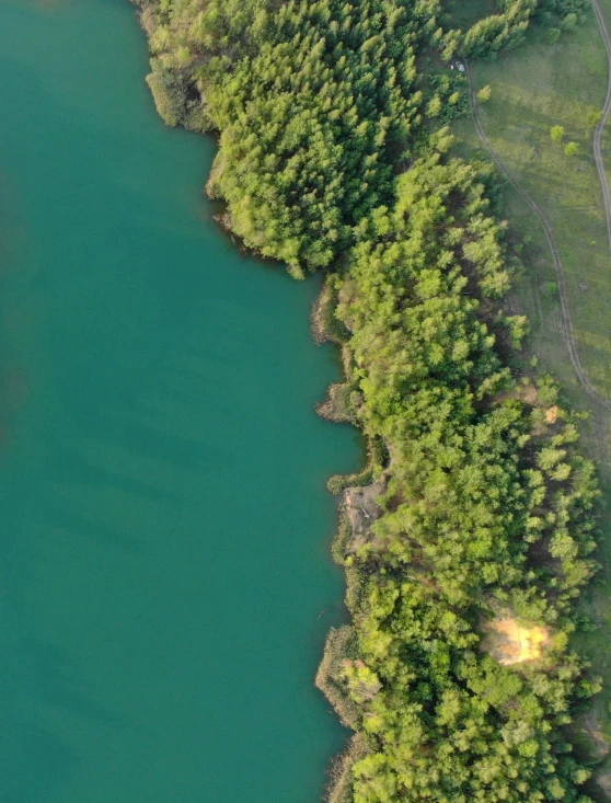 water is crystal bright and green as it sits near the shore