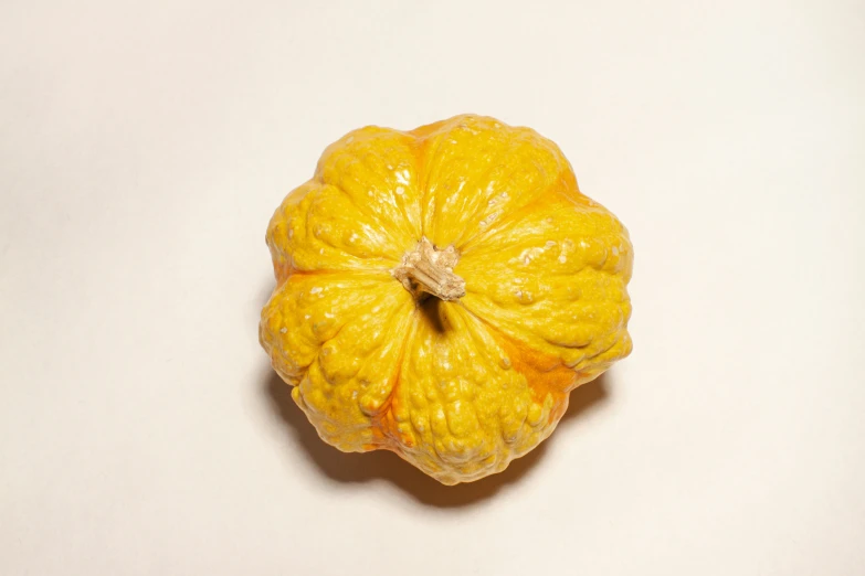 a fresh picked ripe yellow pumpkin sits still on the table