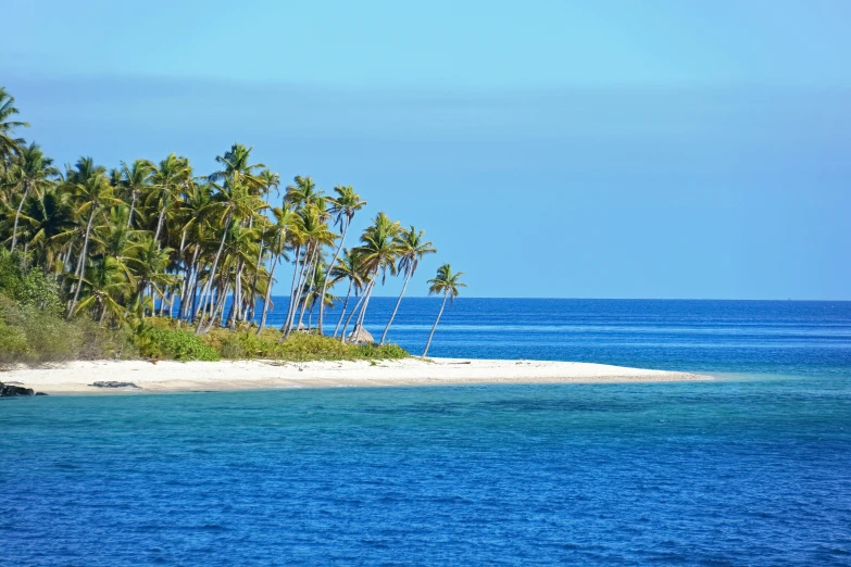 palm trees stand above the ocean on an island in the distance