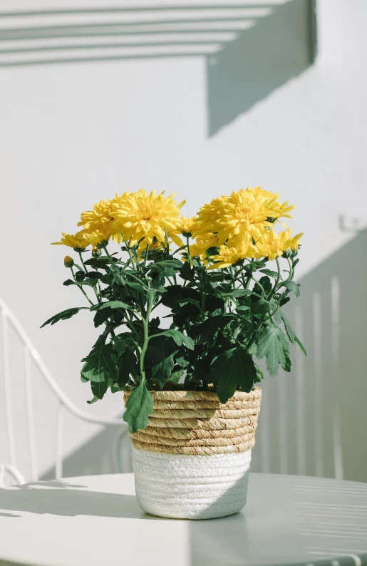 a white table with a yellow flower and grass