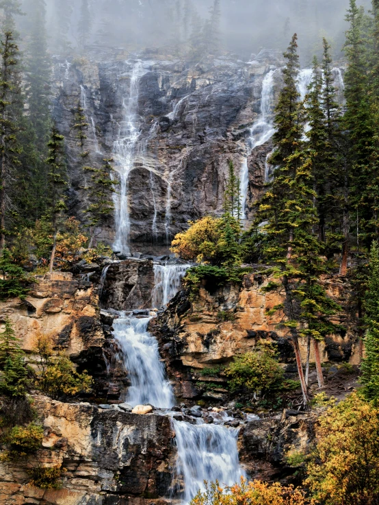 the waterfall in the background is a foggy scene