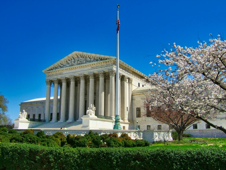 the supreme court building with pink flowers in the foreground