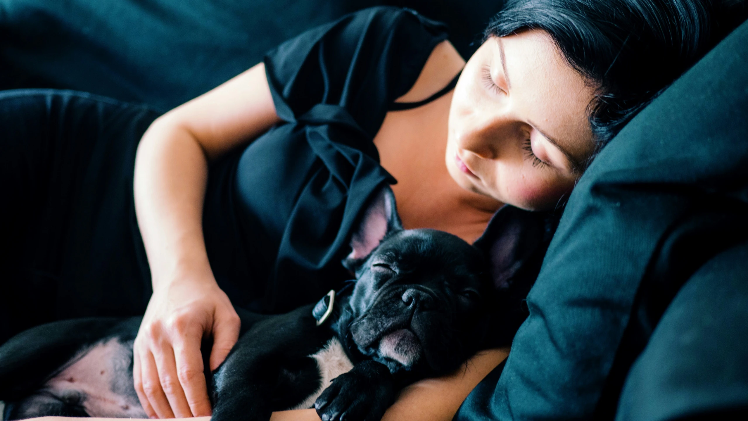 a small dog is sleeping while holding a woman