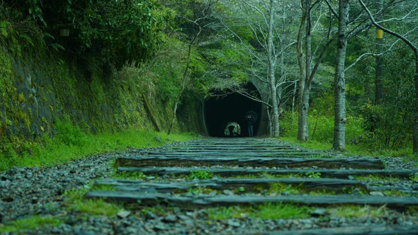 there is a small train going through a tunnel