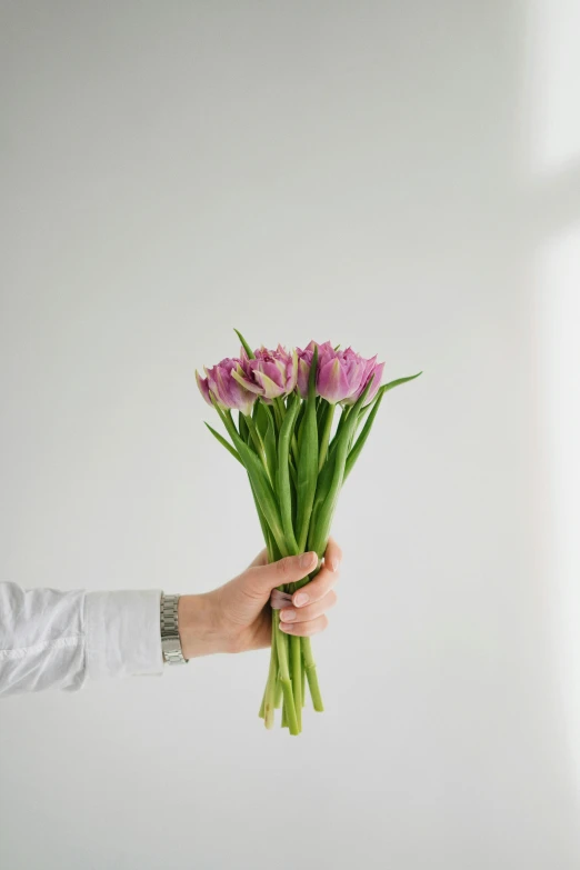 a man holding a bouquet of pink tulips up to the camera