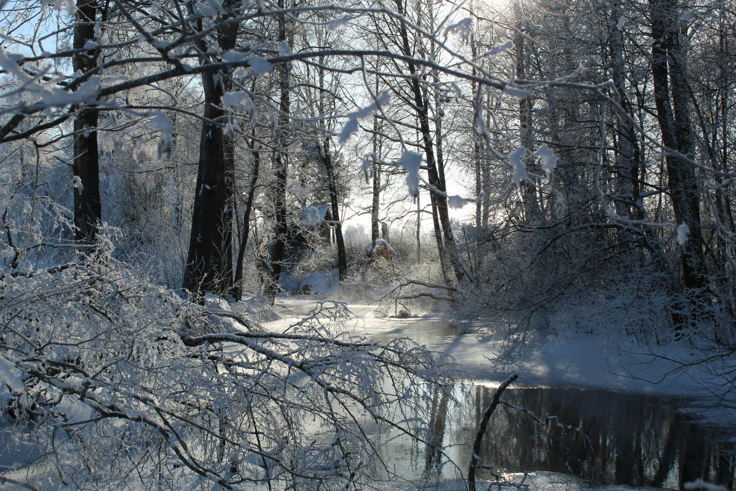 a snow covered area with a creek and a snow filled tree