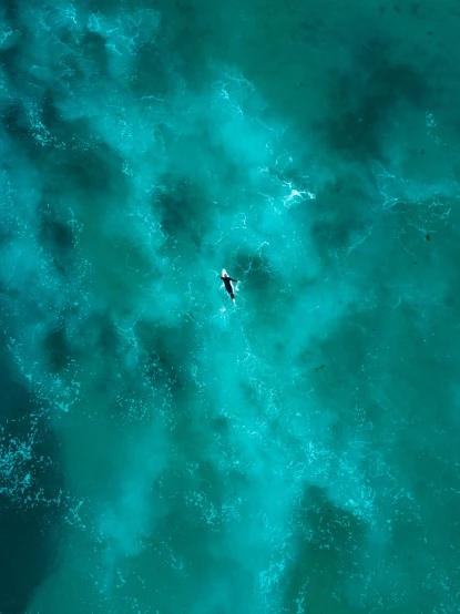 a lone surfer is seen in the distance from above
