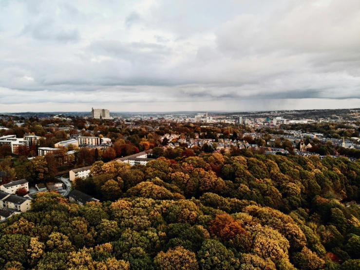 city in the distance surrounded by trees with clouds in background