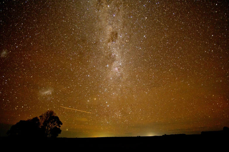 the milky in a field in summer with a dark background