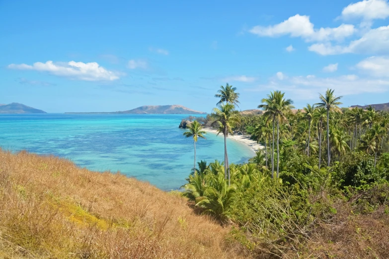 a blue ocean and white sand beach next to some palm trees