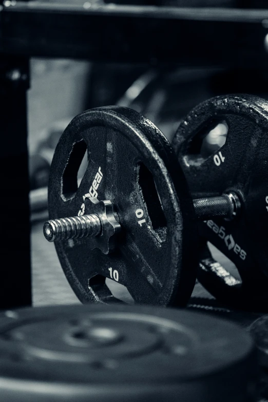 a pair of weight plates are sitting next to each other