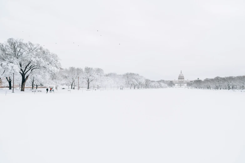 a group of people walk across a snow covered field