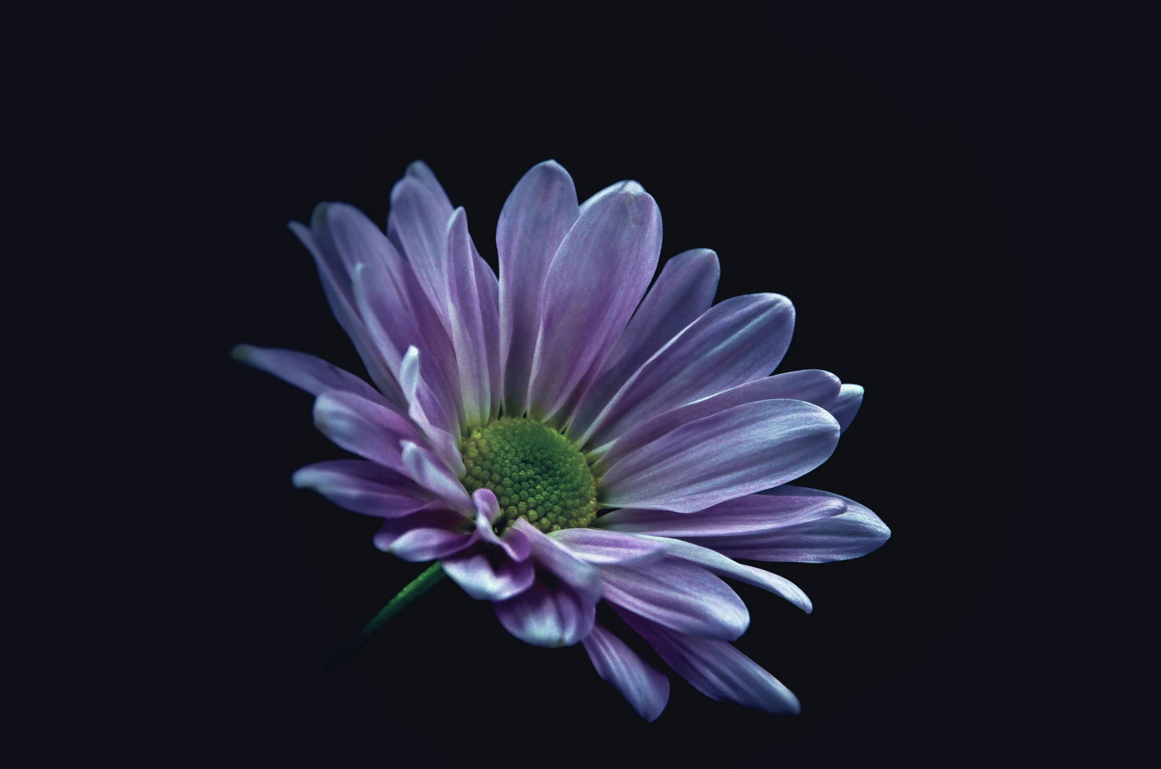 a flower that is very close up with it's petals