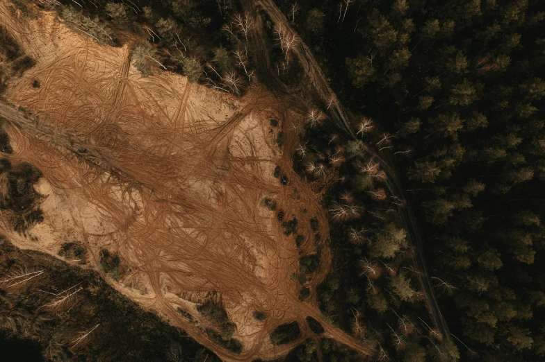 an aerial view of the trees surrounding an area covered in dirt