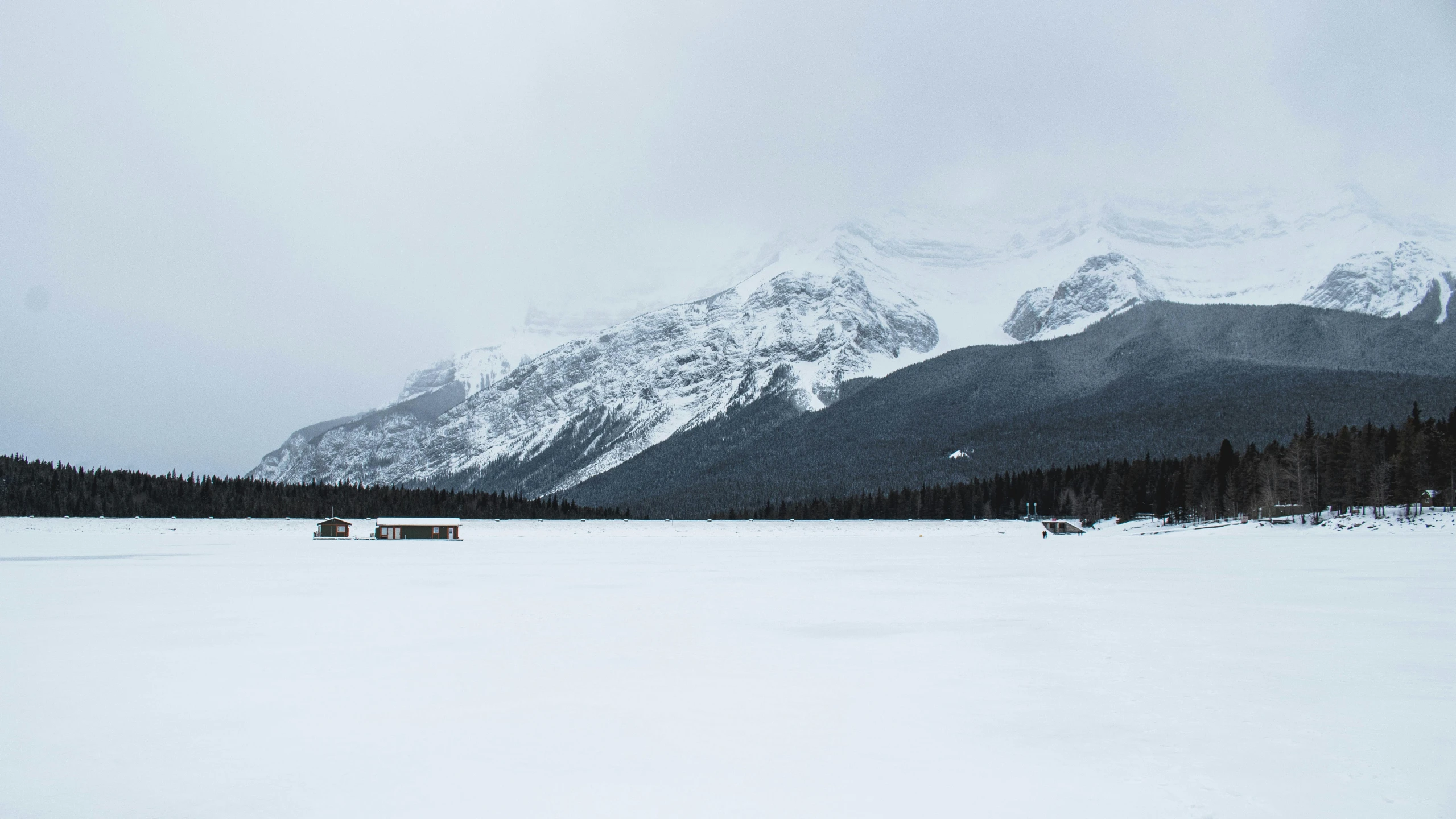 a snowy landscape with pine trees and mountains