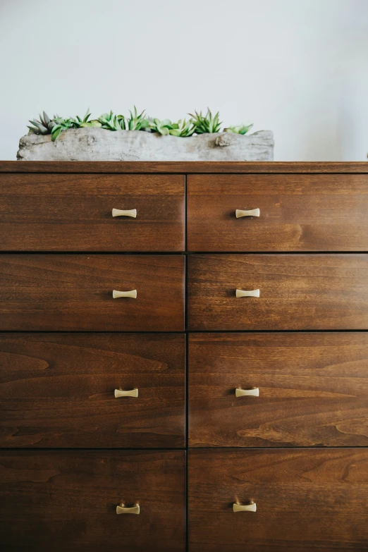 a brown dresser with drawers and pulls with some plants on top of it