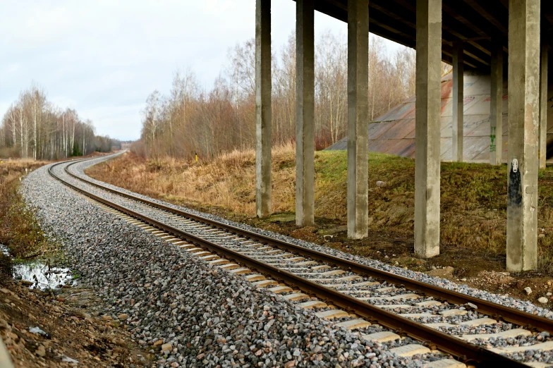 tracks running into an overpass with trees and grass on the opposite side