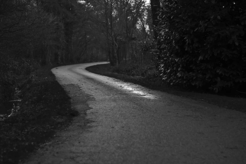 a road in the woods with no one on it