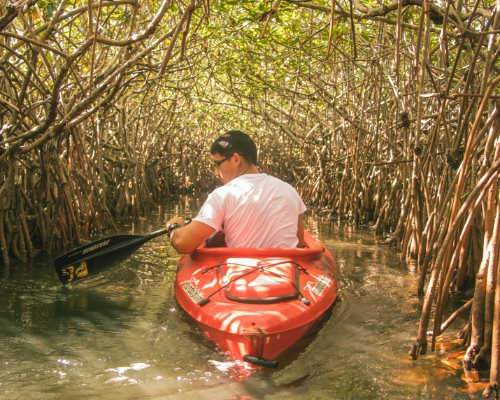 a man in a red kayak paddling through tall grass