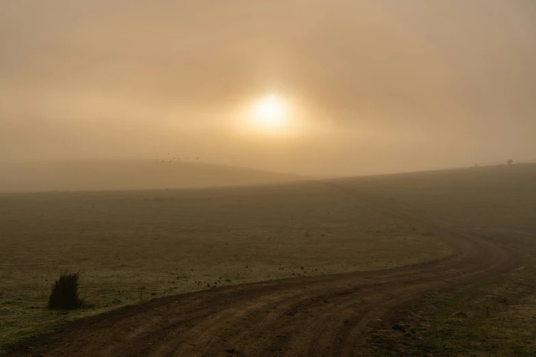 a rural road going through the foggy countryside