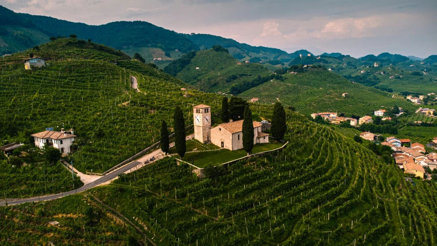 an aerial view of an estate sitting on a vineyard