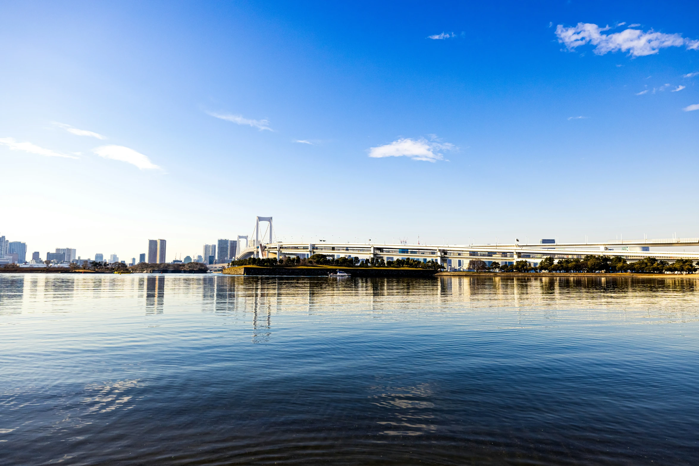 the skyline of a city along side the water