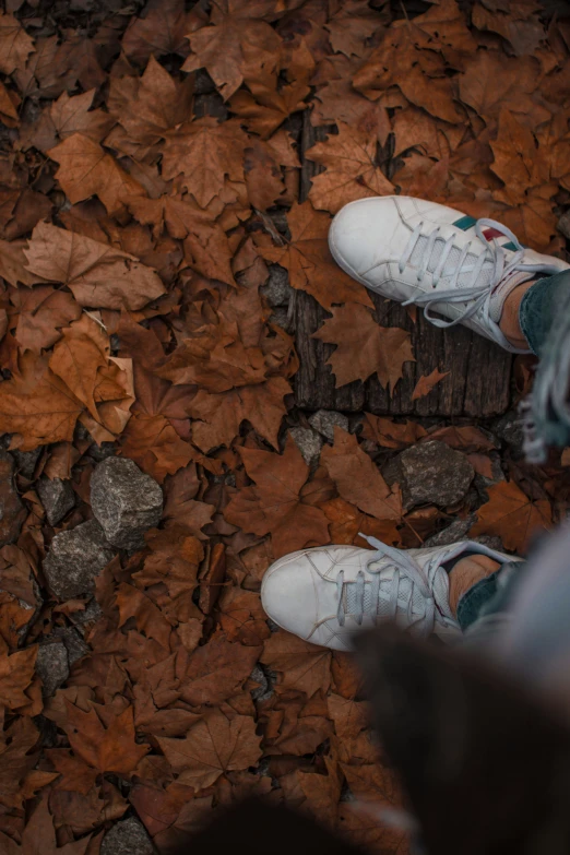 someone's feet standing in the leaves next to a person's shoe