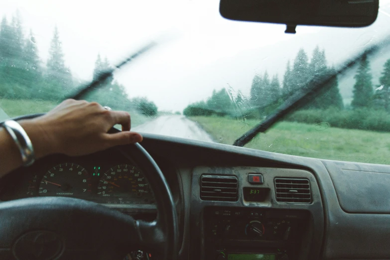 a hand on the dashboard of a vehicle, near a grassy area