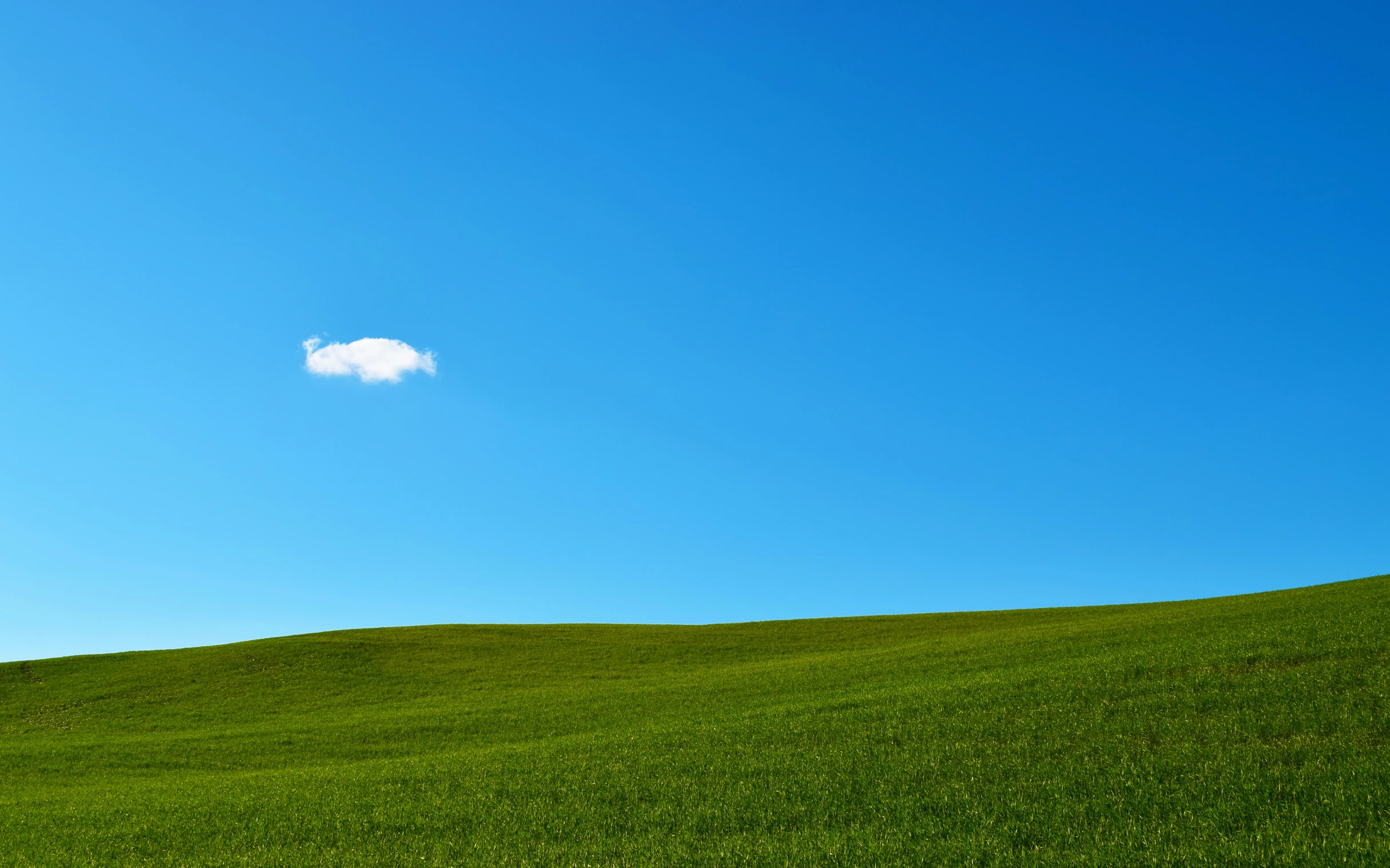 two sheep in a large field with a sky background