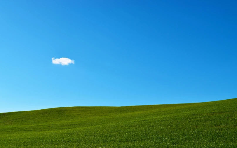 two sheep in a large field with a sky background