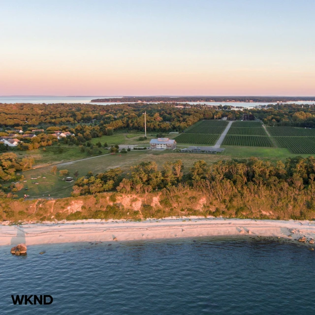 an aerial view of a home in the middle of trees next to a beach