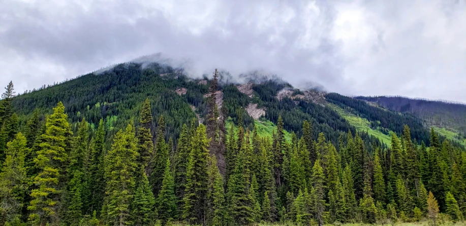 an image of a lush green mountain surrounded by trees