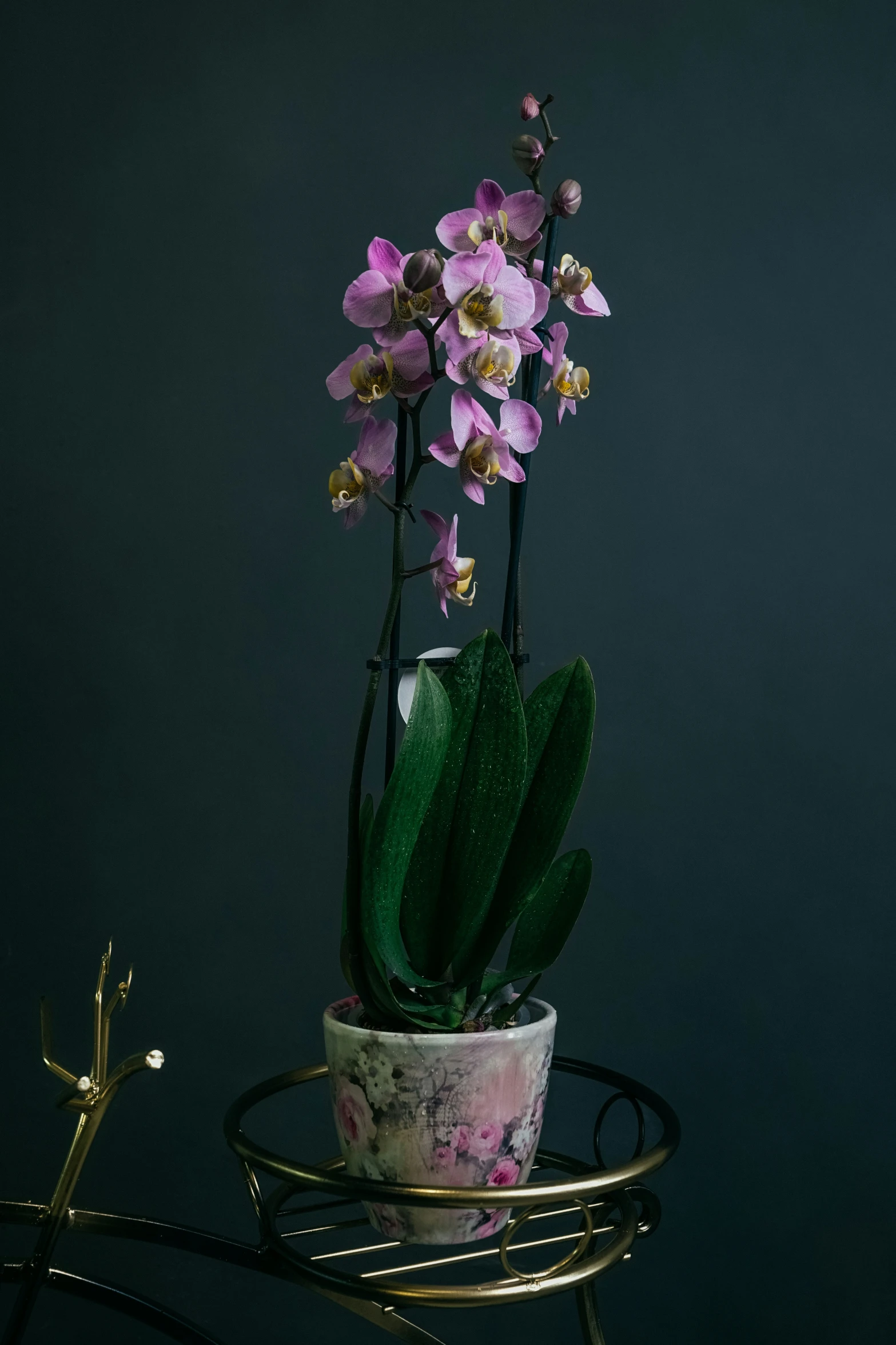 the pink flowers are in the pot on the wire stand