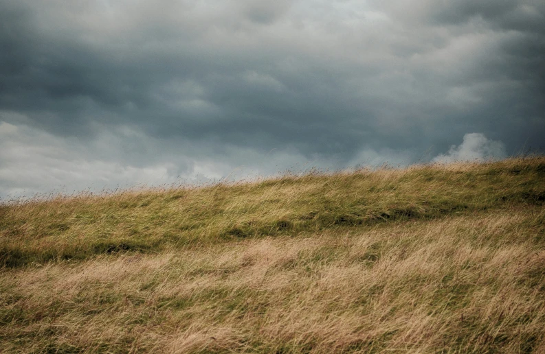 a cow is grazing in a field under a cloudy sky