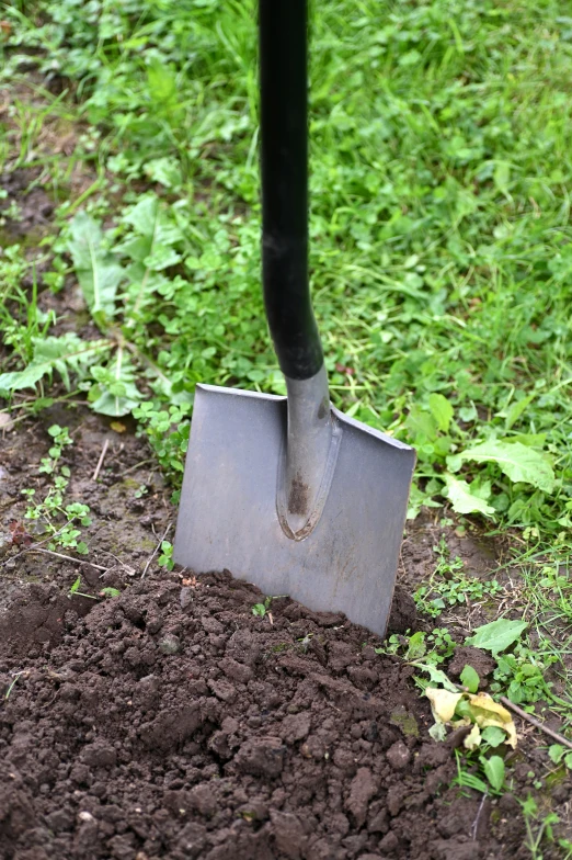 shovels digging in a dirt patch and grass