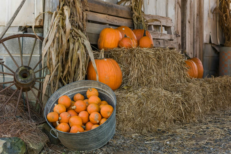 the pumpkins are sitting outside next to a pile of hay