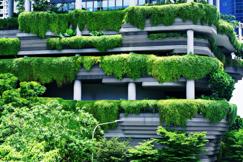 a green building with several vertical garden rows