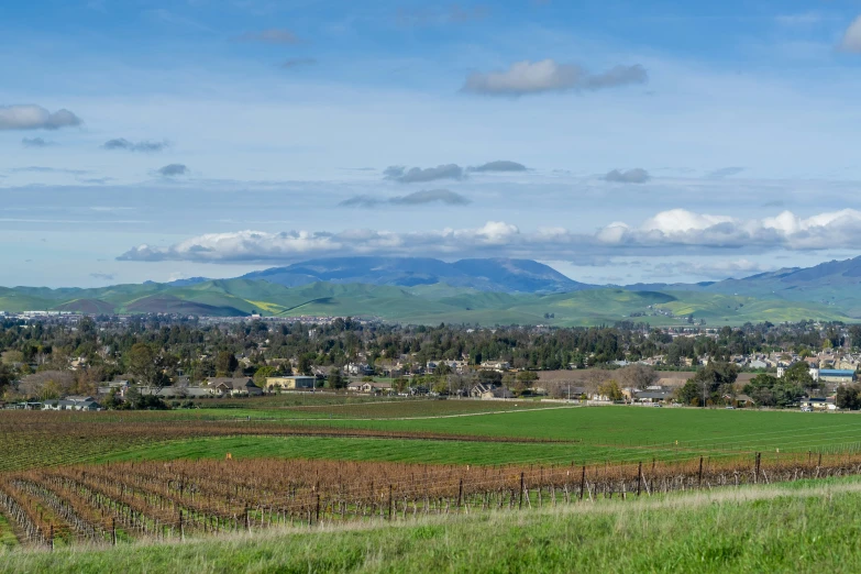 a field is in the foreground and a city below