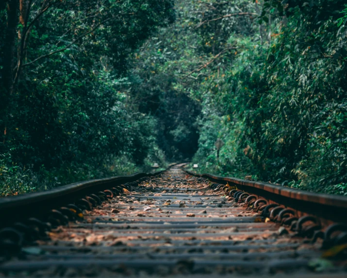 an old railroad track that is lined with trees