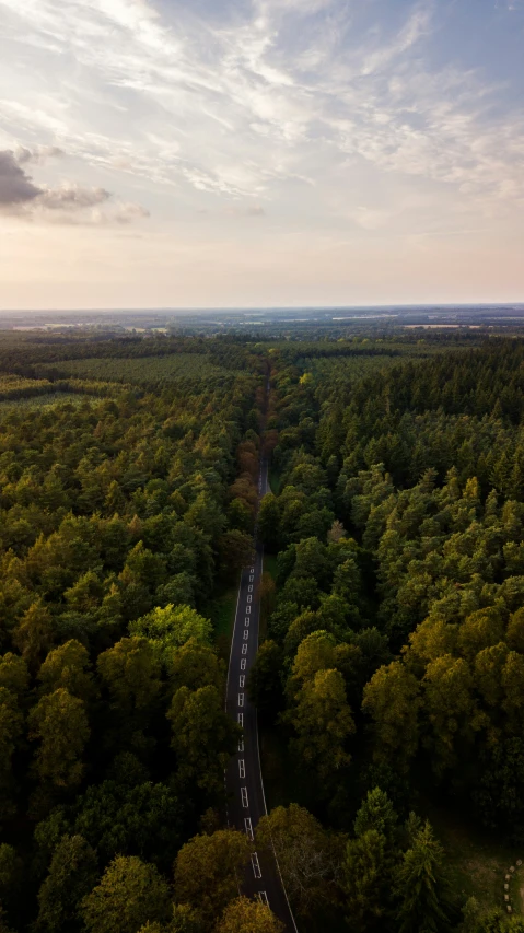 a car that is going down the road near trees