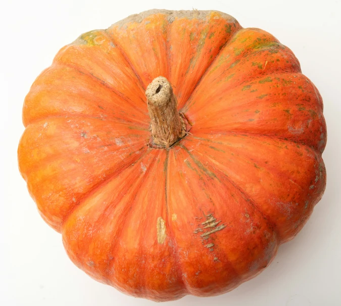 a large orange pumpkin is shown on the table